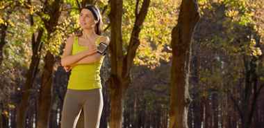 Work Out: The Fitness Collection